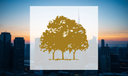 Beitragsbild zu Canopy Growth Aktie: Meilenstein erreicht!