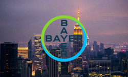 Beitragsbild zu Bayer-Aktie: Kühne Prognose!