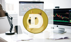 Beitragsbild zu Dogecoin: Reifere Reaktion