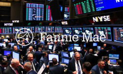 Beitragsbild zu Fannie Mae: Senator Warren zwingt Treasury in die Offensive