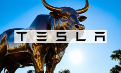 Beitragsbild zu Tesla-Aktie: Mega-Musk!