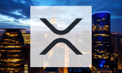 Beitragsbild zu XRP: Institutionelle Gelder strömen – während Bitcoin blutet