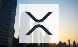 Beitragsbild zu XRP: Schwarzer Schwan schockt Krypto-Welt