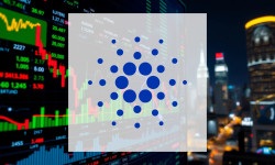 Beitragsbild zu Cardano: Überblicke erhalten