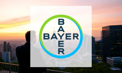 Beitragsbild zu Bayer Aktie: Kampf um Vertrauen!