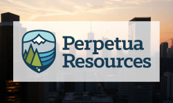 Beitragsbild zu Perpetua Resources Aktie: Pentagon im Rausch!