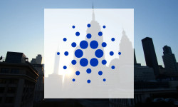 Beitragsbild zu Cardano: Alarmstufe Rot!