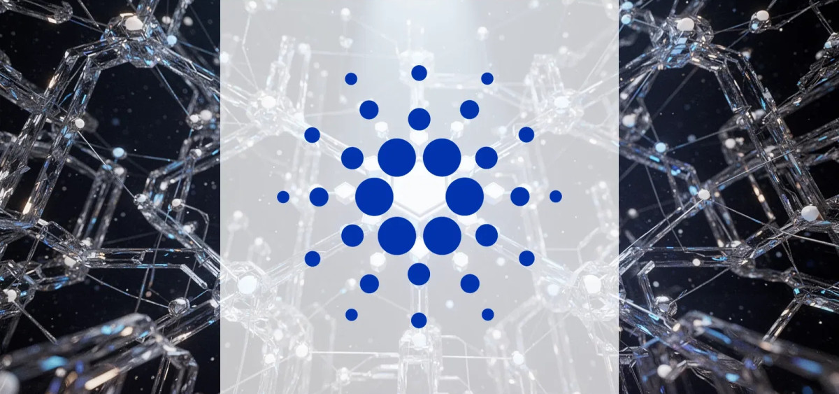 Beitragsbild zu Cardano: Institutionen im Blick