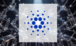 Beitragsbild zu Cardano: Institutionen im Blick