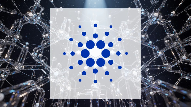 Beitragsbild zu Cardano: Institutionen im Blick