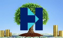 Beitragsbild zu Hays Aktie: Auf Talfahrt