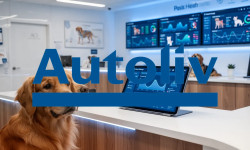 Beitragsbild zu Allianz: KI-Offensive im Haustiergeschäft