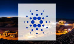 Beitragsbild zu Cardano: Schattenseiten offenkundig