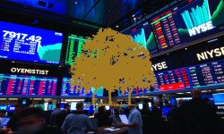 Beitragsbild zu Canopy Growth Aktie: Gemischtes Bild