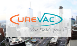 Beitragsbild zu CureVac Aktie: Das große Finale!