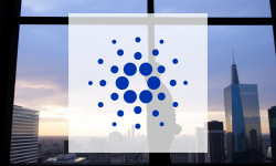 Beitragsbild zu Cardano: CME-Start