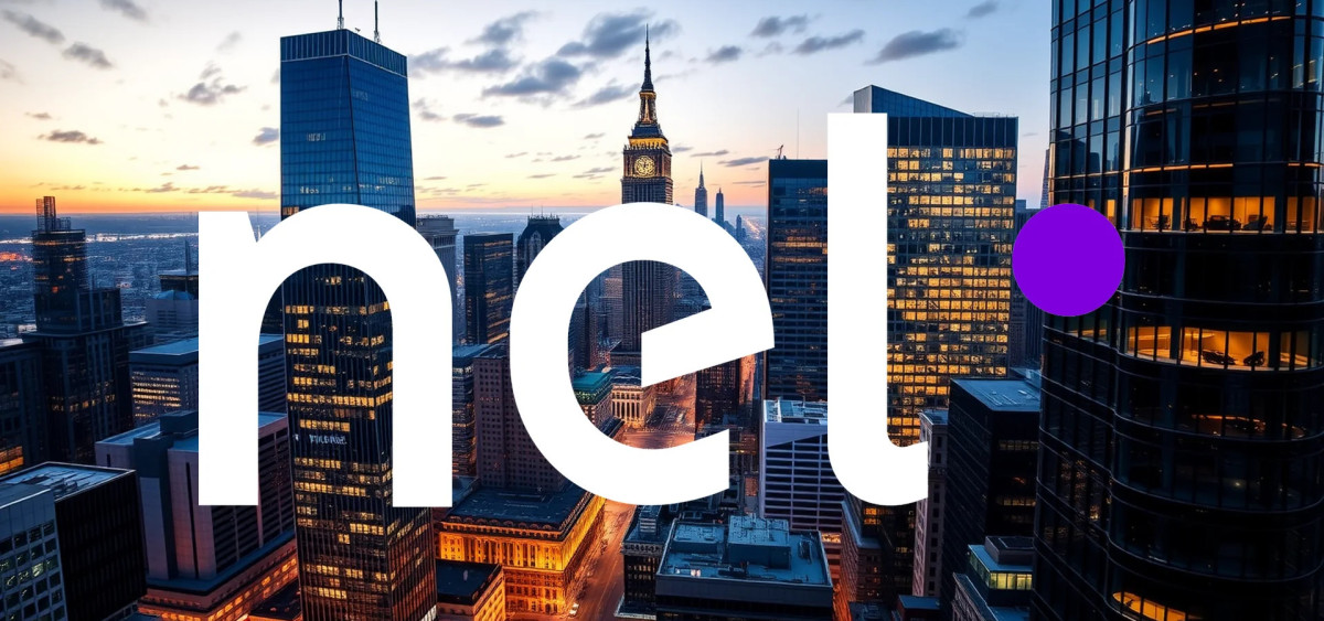 Beitragsbild zu Nel Asa-Aktie: Die Wahrheit!