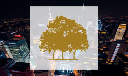 Beitragsbild zu Canopy Growth Aktie: Überraschung!