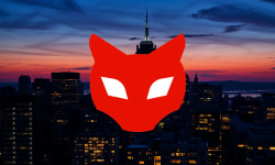 Beitragsbild zu Red Cat Aktie: Nachhaltige Wachstumsstrategien!