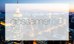 Beitragsbild zu Gossamer Bio Aktie: Spekulationsfieber vor Zieldaten