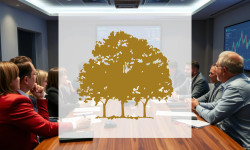 Beitragsbild zu Canopy Growth Aktie: Comeback gelungen?