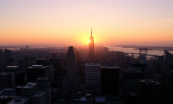 Beitragsbild zu Bionxt Aktie: Fortschritt im Labor