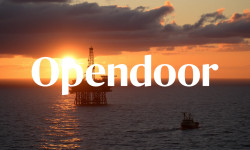 Beitragsbild zu Opendoor Aktie: Explosion nach CEO-Wechsel