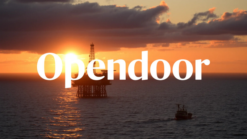Beitragsbild zu Opendoor Aktie: Explosion nach CEO-Wechsel