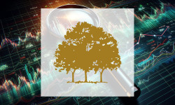 Beitragsbild zu Canopy Growth Aktie: Entscheidungstag!