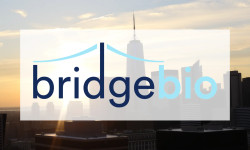 Beitragsbild zu BridgeBio Pharma: Biotech-Hoffnung mit Rückenwind