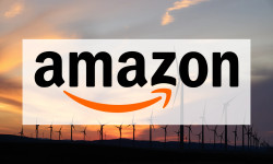 Beitragsbild zu Amazon Aktie: Marktforschungsdaten ausgewertet