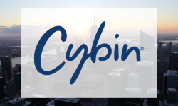 Beitragsbild zu Cybin Aktie: Absturz mit Ansage?