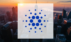 Beitragsbild zu Cardano: Midnight-Launch treibt