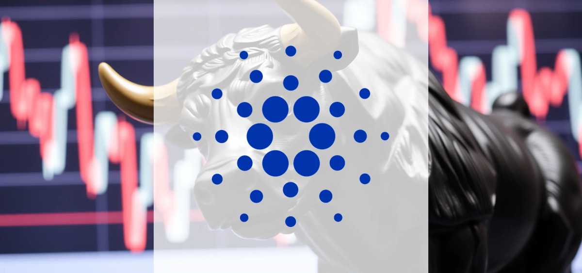 Beitragsbild zu Cardano: Erfreuliche Kundenresonanz!