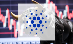 Beitragsbild zu Cardano: Erfreuliche Kundenresonanz!
