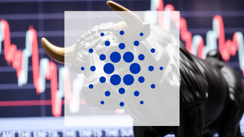 Beitragsbild zu Cardano: Erfreuliche Kundenresonanz!