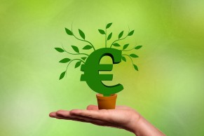 Rendite bluhen Oko Umwelt Euro grun Pixabay geralt