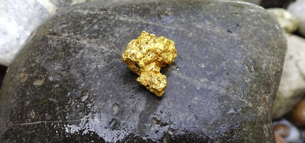 Beitragsbild zu Ob Gold-Bulle oder -Bär, ist hier eigentlich egal