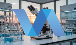 Beitragsbild zu Valneva Aktie: Zahlen am Mittwoch