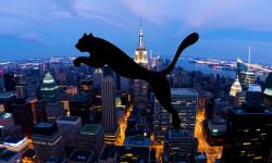 Beitragsbild zu Puma Aktie: Mühsamer Weg!