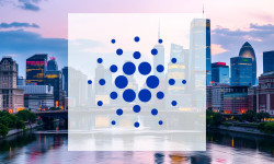 Beitragsbild zu Cardano: Vermeidbare Fehler?