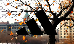 Beitragsbild zu Adidas Aktie: Gefährliche Mischung