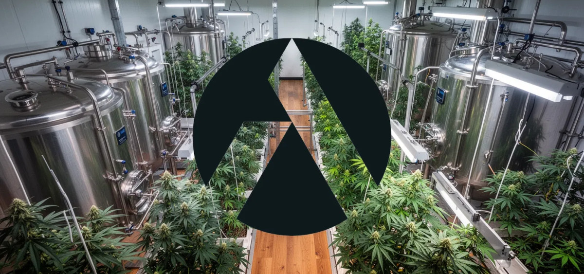 Beitragsbild zu Tilray Aktie: Carlsberg-Deal