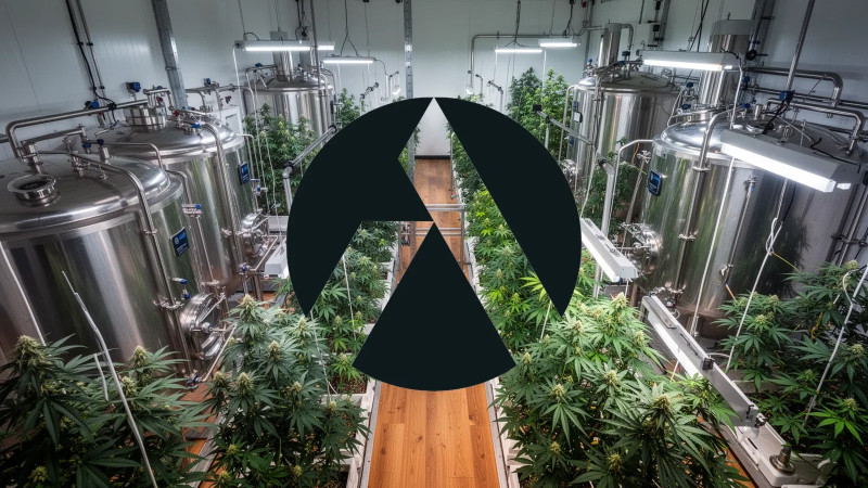 Beitragsbild zu Tilray Aktie: Carlsberg-Deal