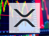 Beitragsbild zu XRP: Erfreuliches Marktfeedback!