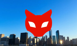 Beitragsbild zu Red Cat Aktie: Ruhige Entwicklungen