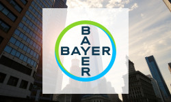 Beitragsbild zu Bayer Aktie: Solider Investitionserfolg!
