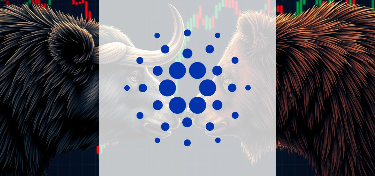 Beitragsbild zu Cardano Midnight-Launch zündet