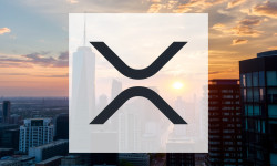 Beitragsbild zu XRP: Aufschlussreiche Daten