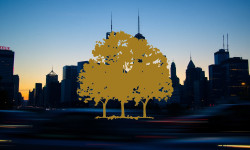 Beitragsbild zu Canopy Growth Aktie: Trump-Gerücht zündet